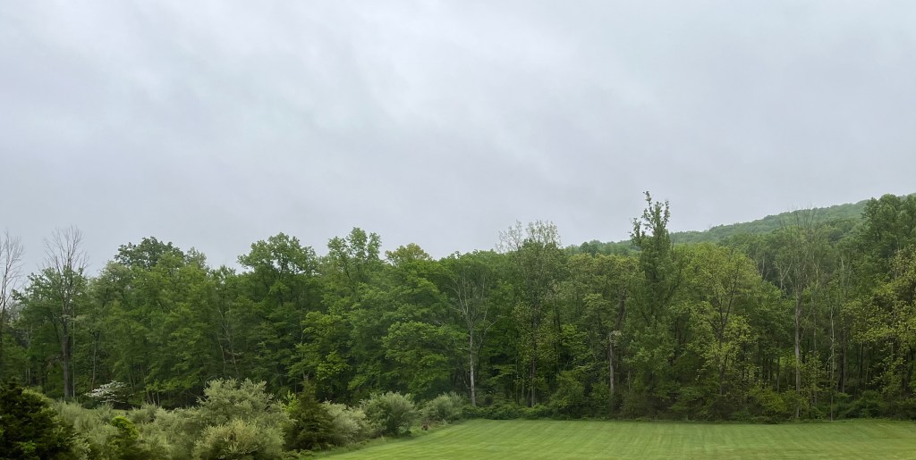 Under a Dark&nbsp;Cloud