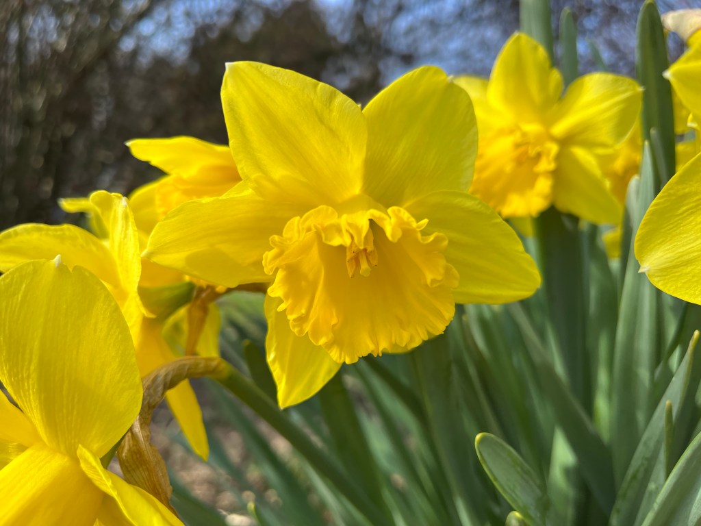 Don't Adjust Your TV Sets (or computer monitors or phone screens, as the case may be)