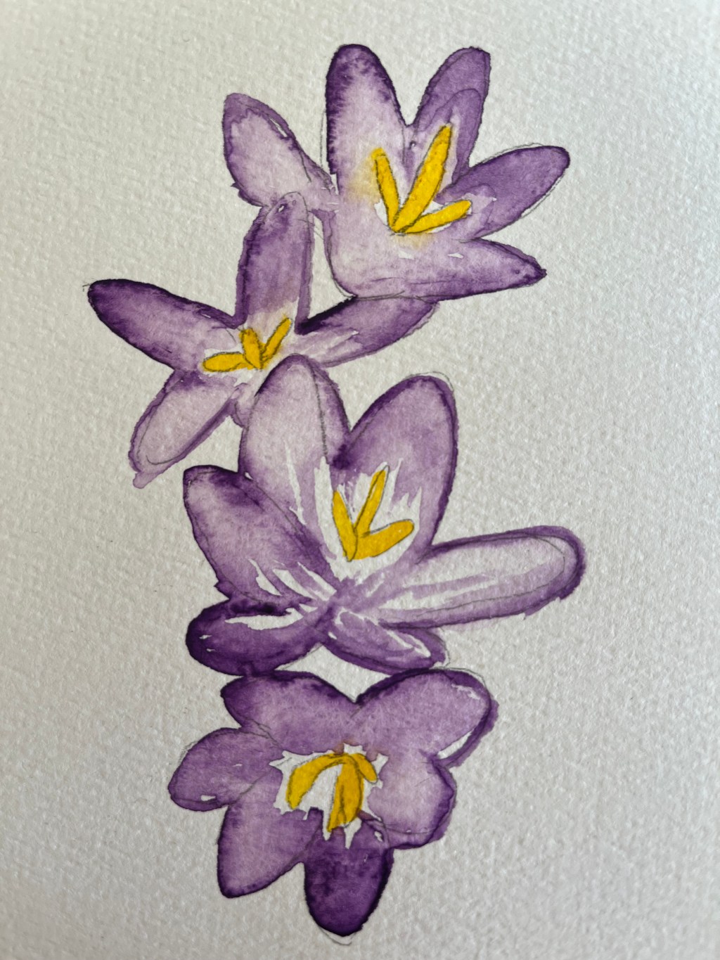 Pictures or it Didn't&nbsp;Happen