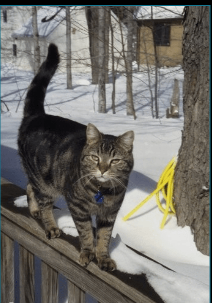 Here Comes the&nbsp;Sun