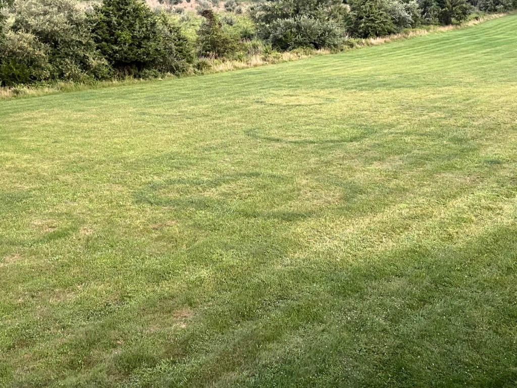 Fairies, aliens or mushrooms?