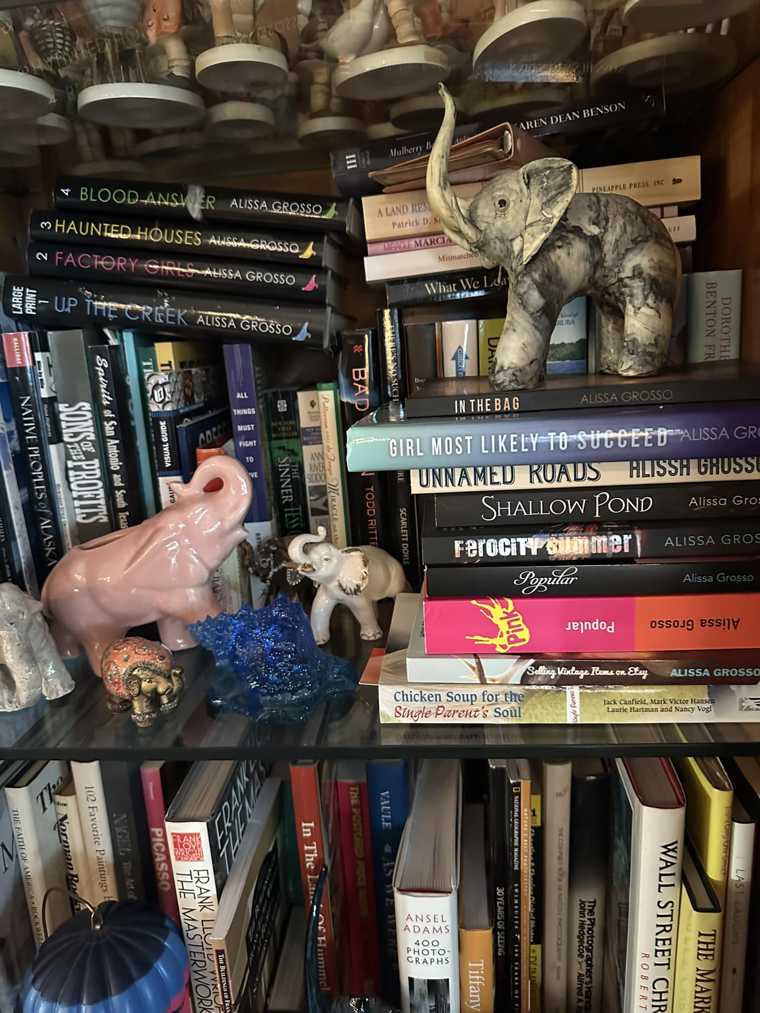 photo of a very crowded bookcase and also some elephant figurines