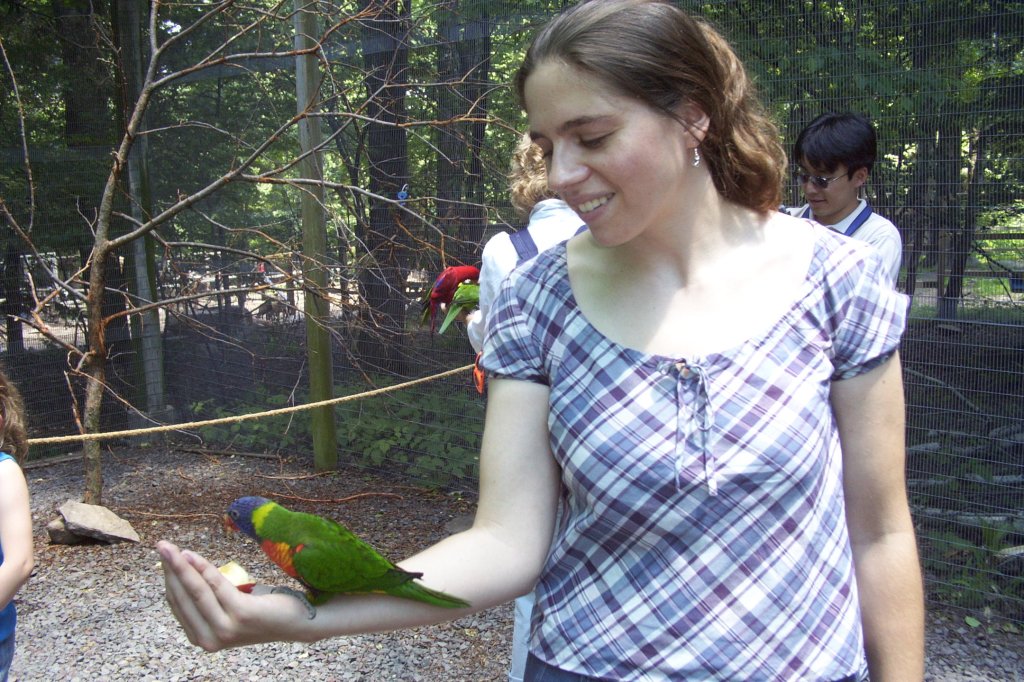 What's Black and White and Red All&nbsp;Over?