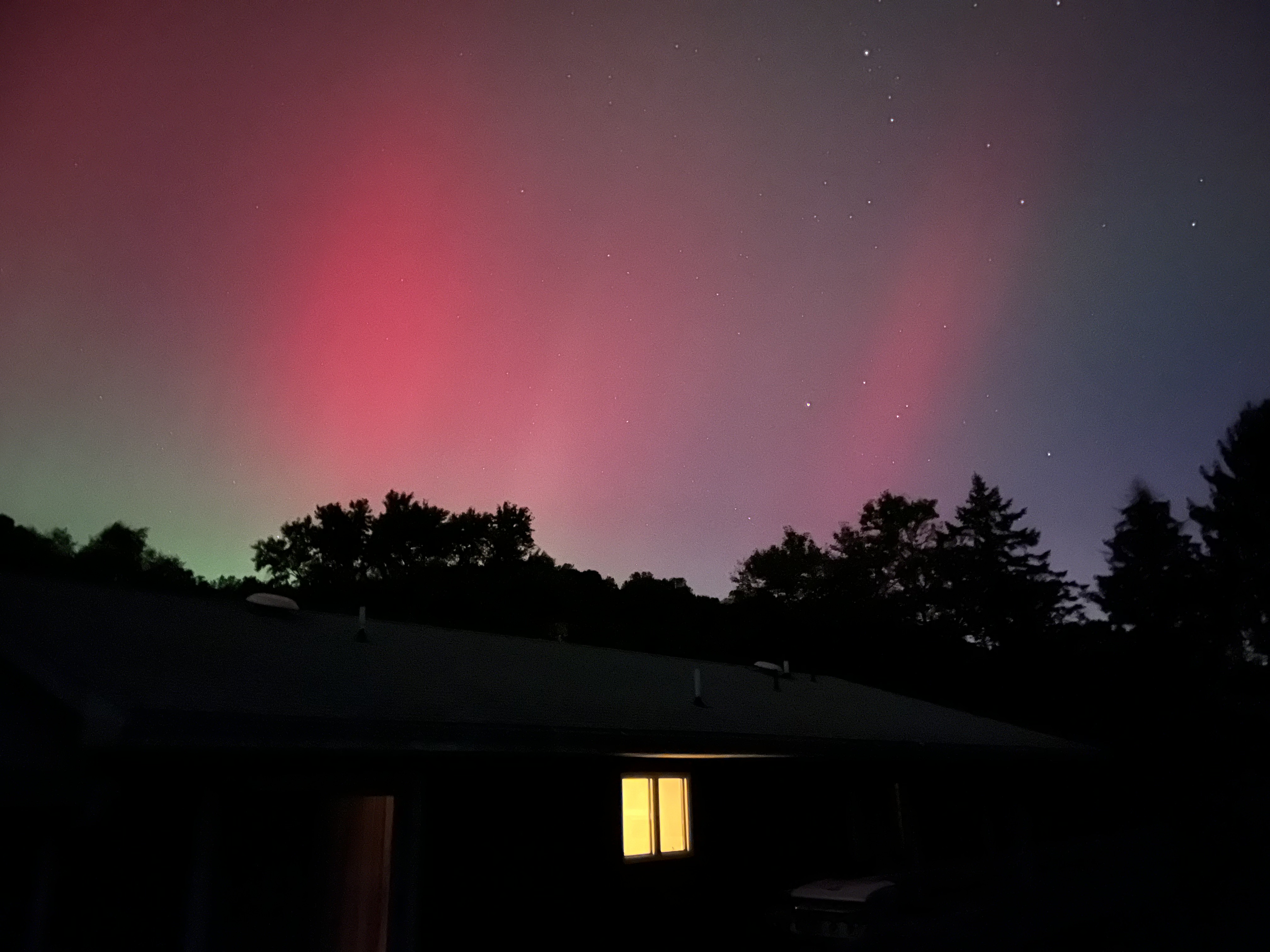 Northern lights in shades of red and green above black silhouettes of trees and a house.