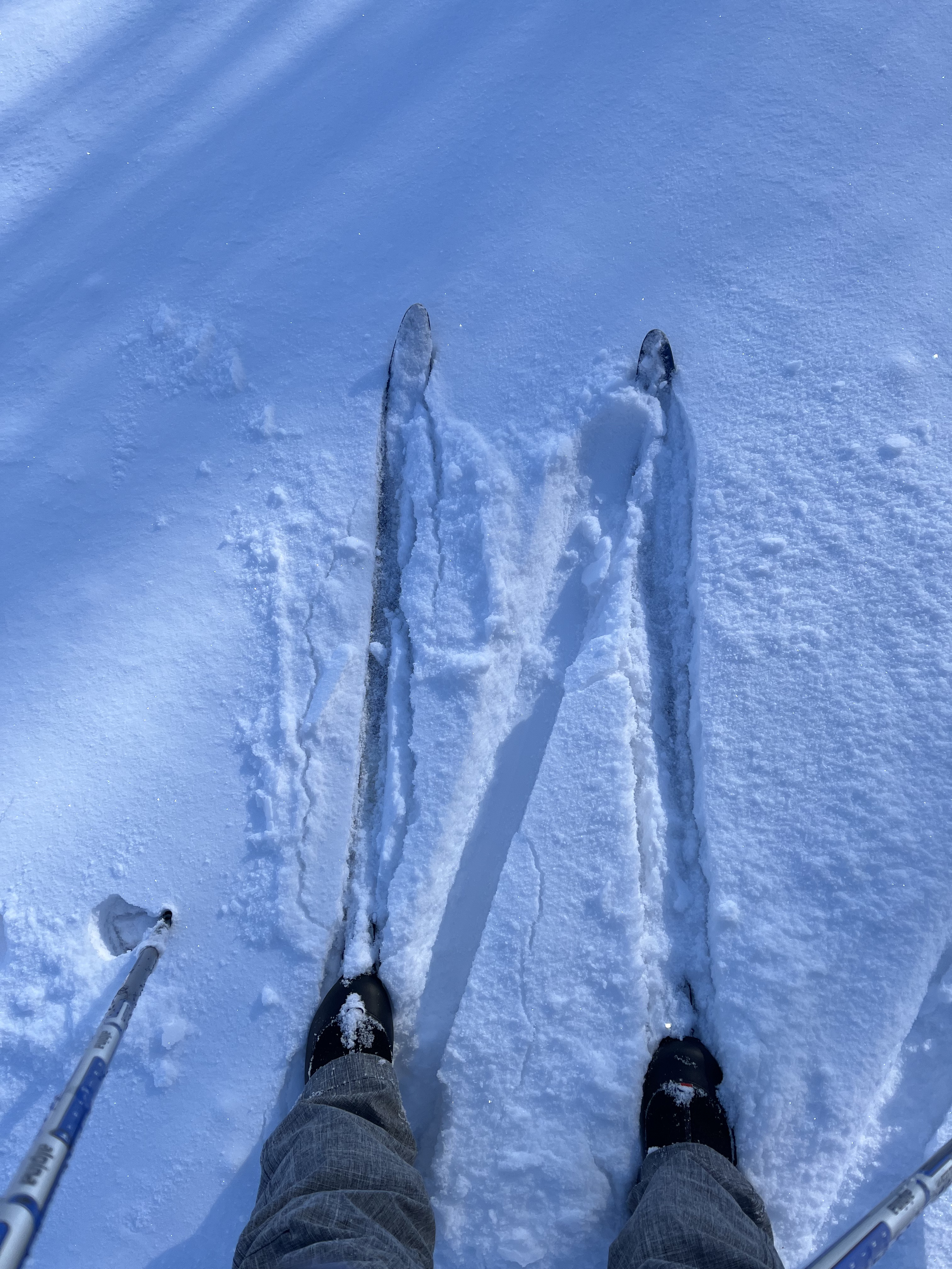 Photo looking down at a pair of legs on a pair of cross country skis in the snow.