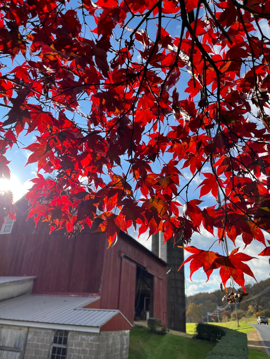 A Quick Thank&nbsp;You