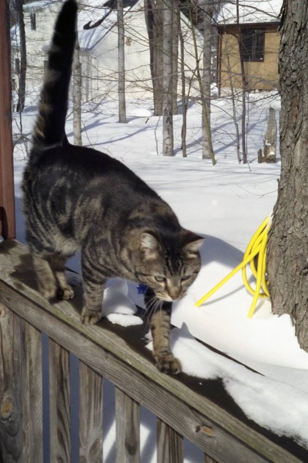 Winter One-Upmanship