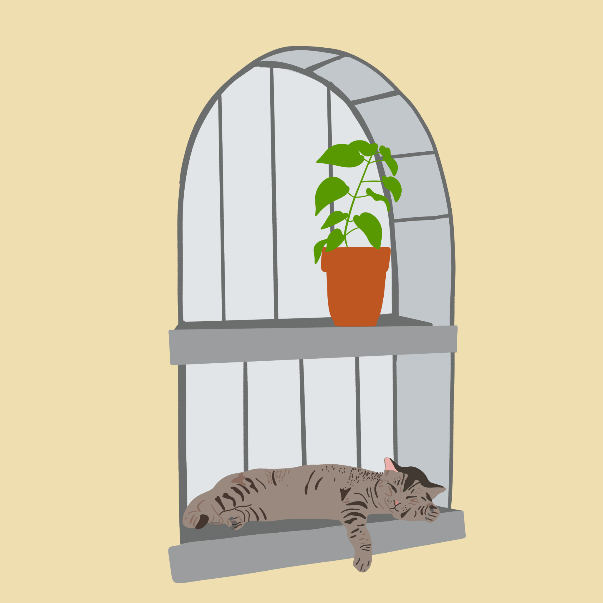 Simple digital illustration of an arched wall niche with two shelves with a houseplant on the top shelf and a sleeping tabby cat on the lower shelf.
