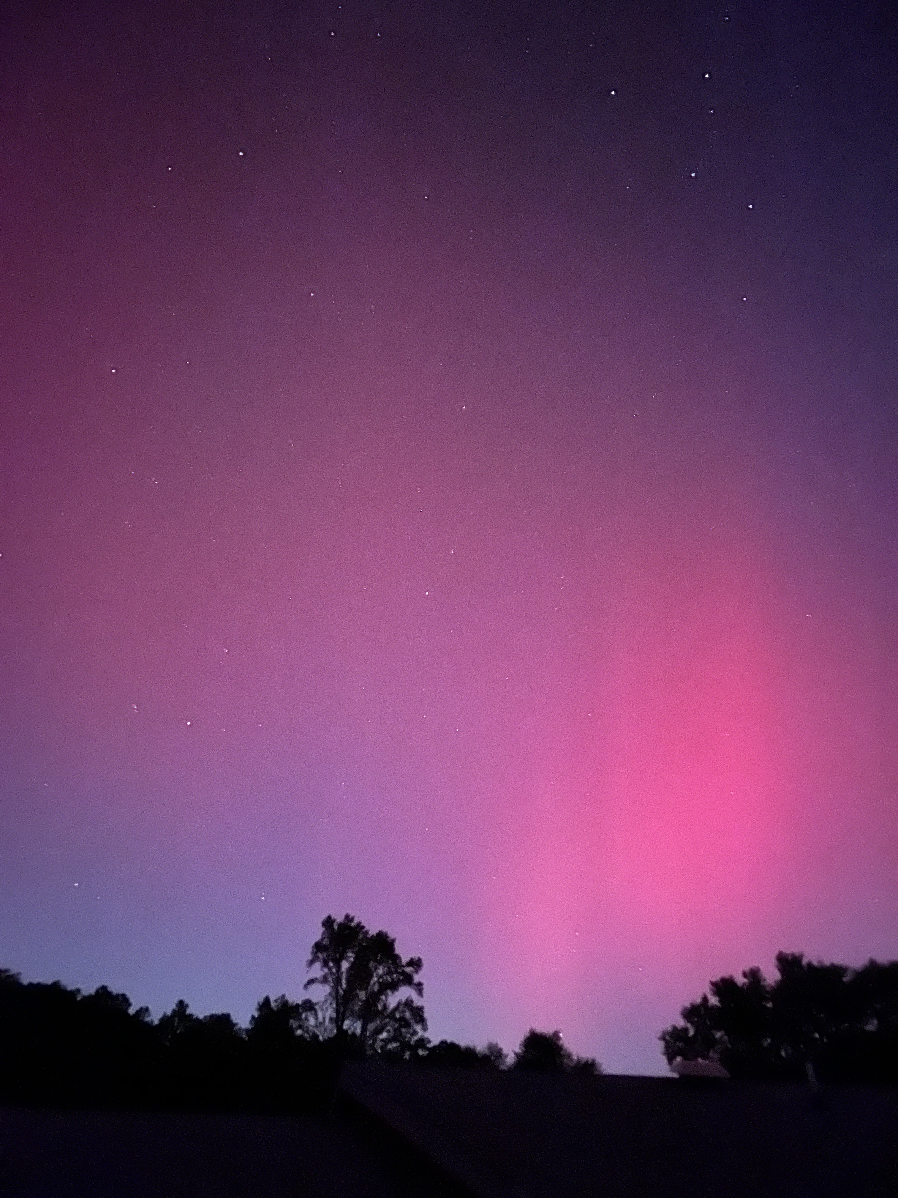 Northern lights in magenta and purple with black silhouetted trees below.