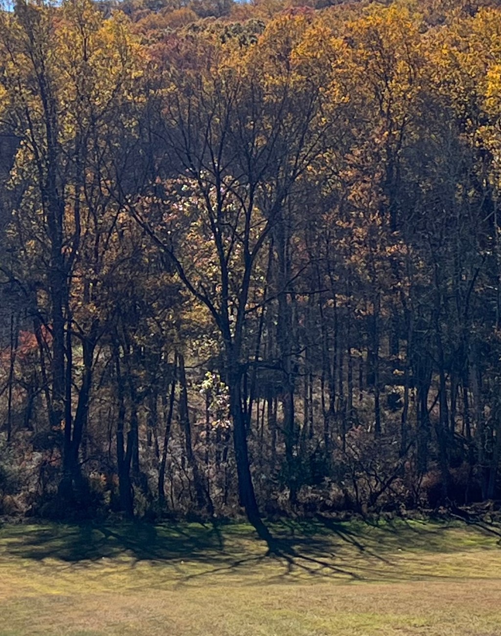 Keep on Sparkling and a Cookie Recipe