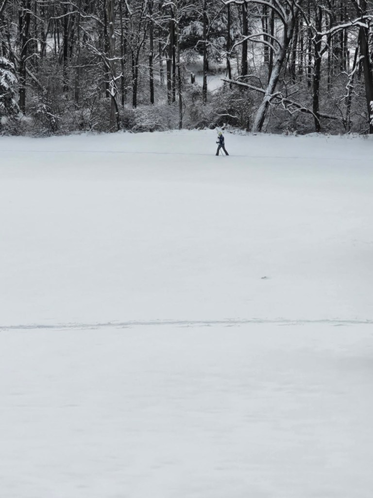 Photo of someone cross country skiing in a snowy landscape with tall trees behind them.