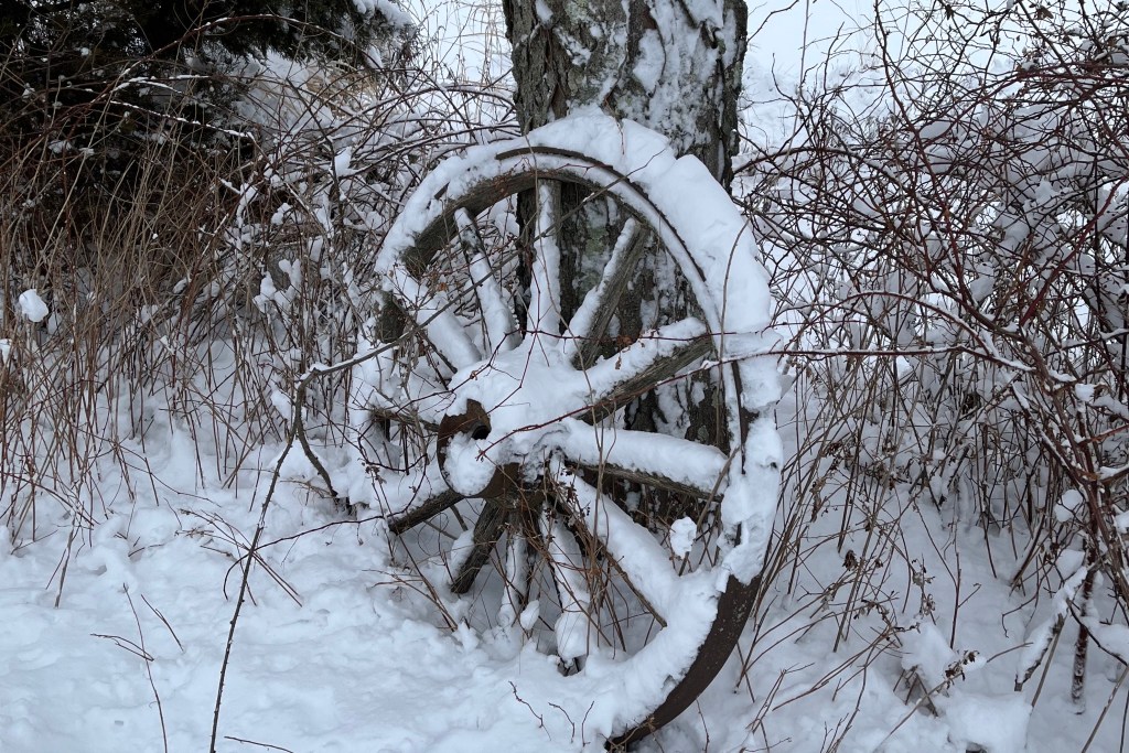 Photo of an old wooden wagon wheel leaning against a tree and covered with snow.