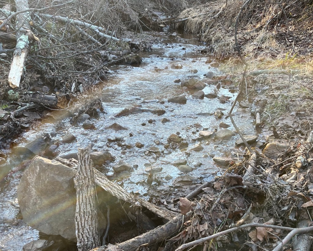 Photo of a creek flowing through a wooded area.