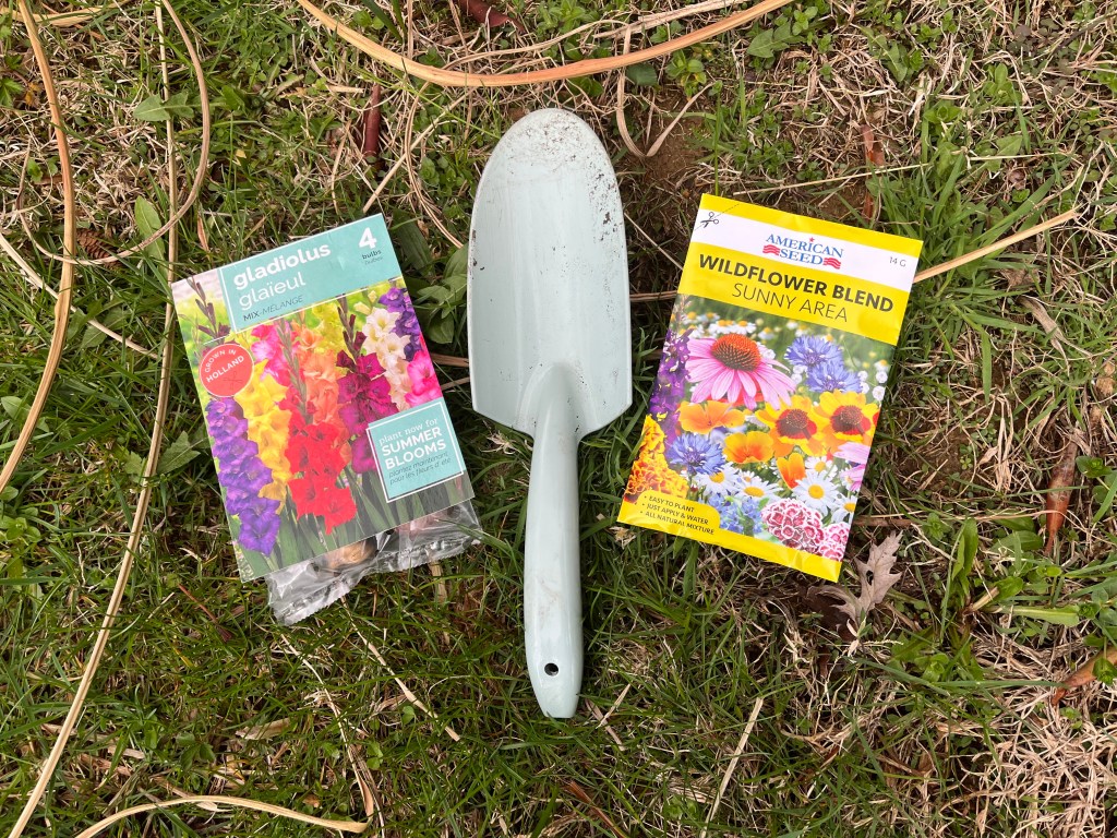 Photo of a package of gladiolus bulbs, a garden shovel and a packet of wildflower seeds outside on the ground.