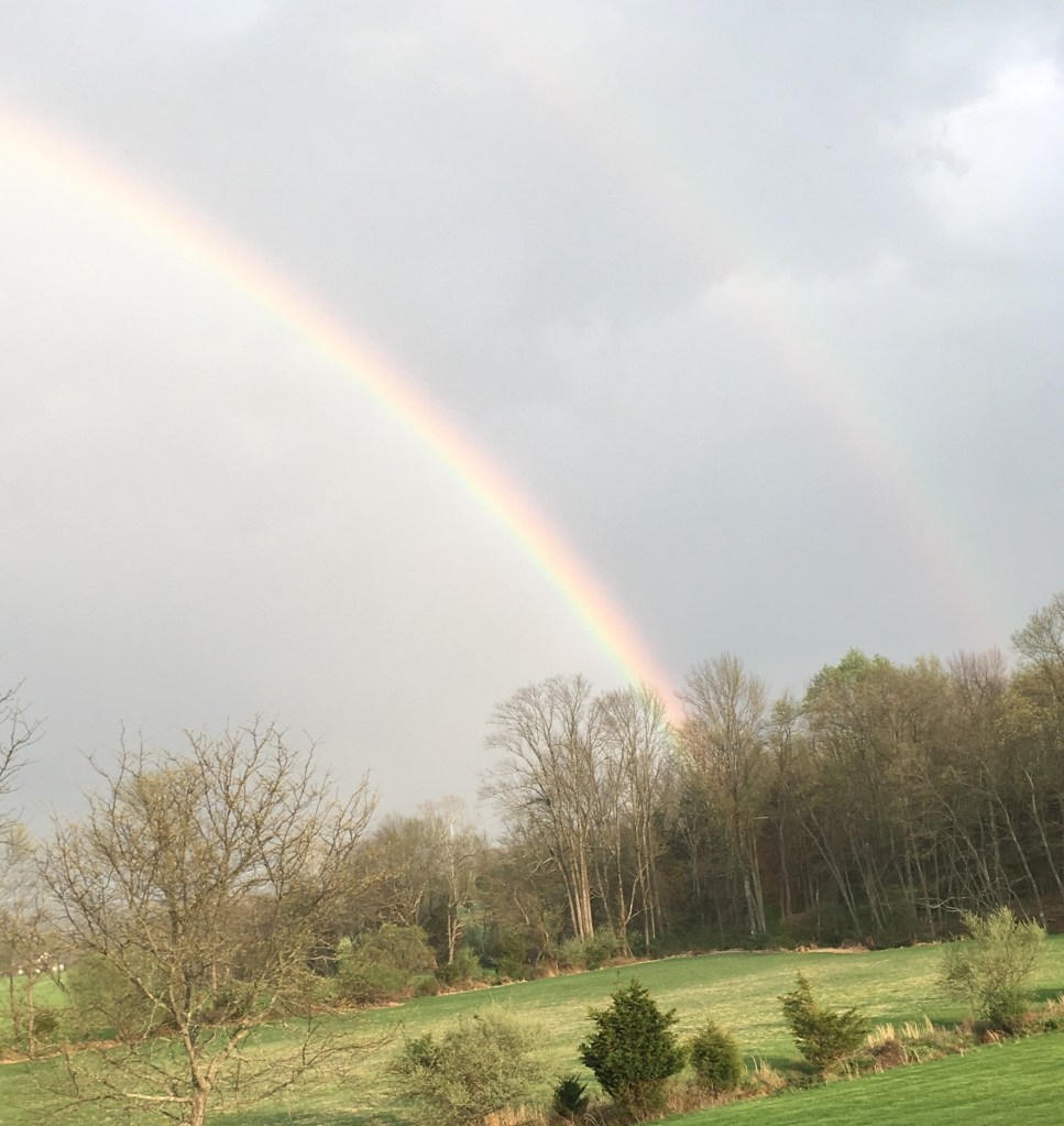 Photo of a double rainbow in a gray sky over green grassy fields.