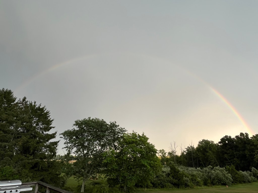 Photo of a rainbow in a gray sky with trees below.