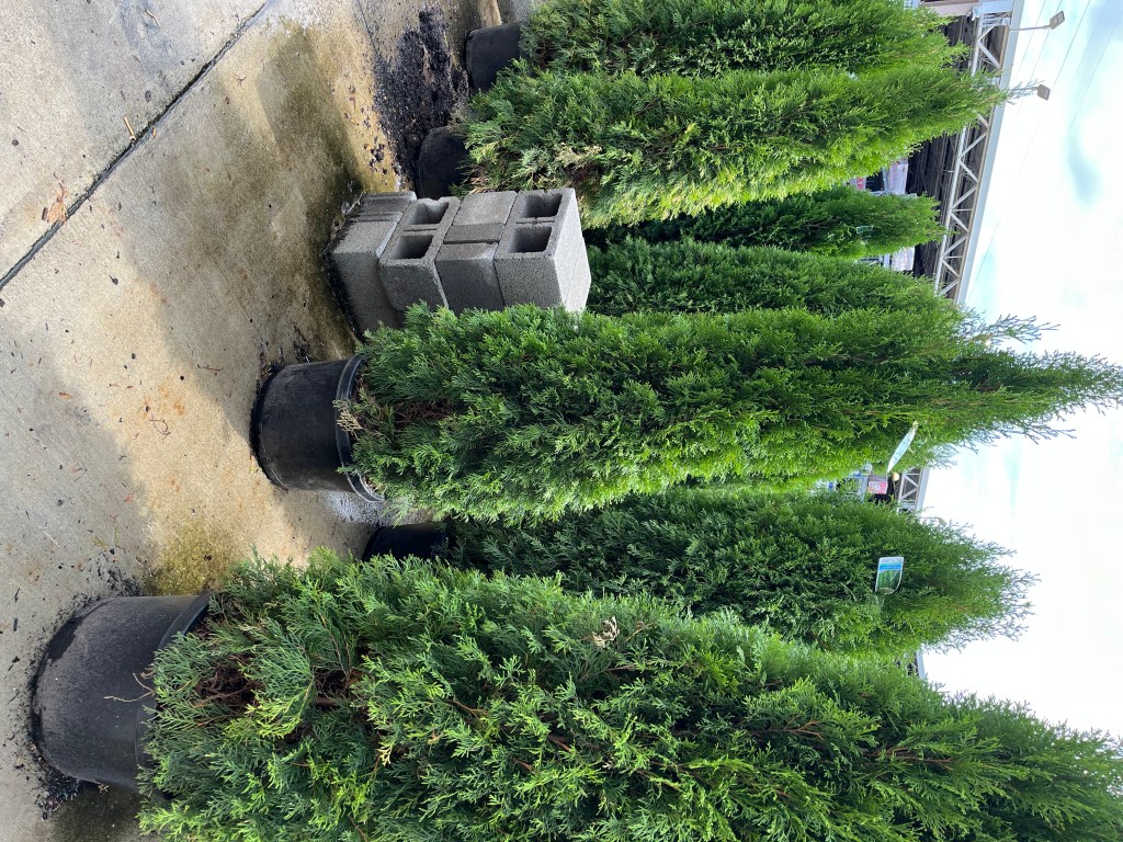 One Delivery Down, Two to Go